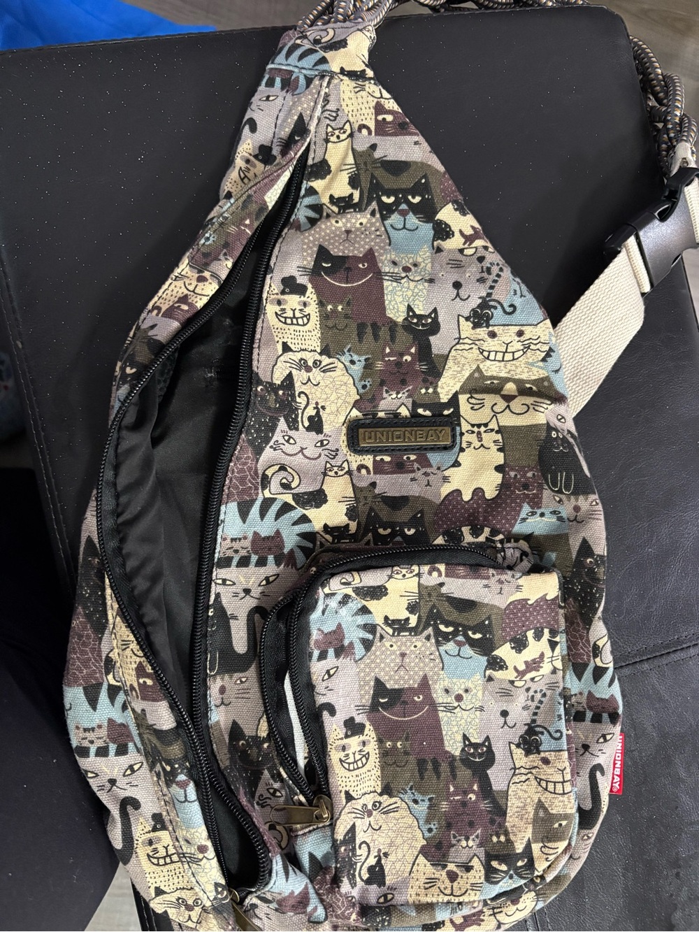 Cat Print Sling Bag in Multicolor